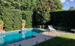 Bay Laurel (Sweet Bay) - Laurus Nobilis - 6 Pack Of 1 Gallon Pots -Herbers Zone Bay Laurel 7 1