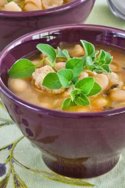 Hot & Spicy Oregano - 6 Pack Of Pint Pots -Herbers Zone oreganum hot and spicy oregano 1